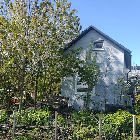 Tuinhuisje In Het Groen Almere Exteriér fotografie