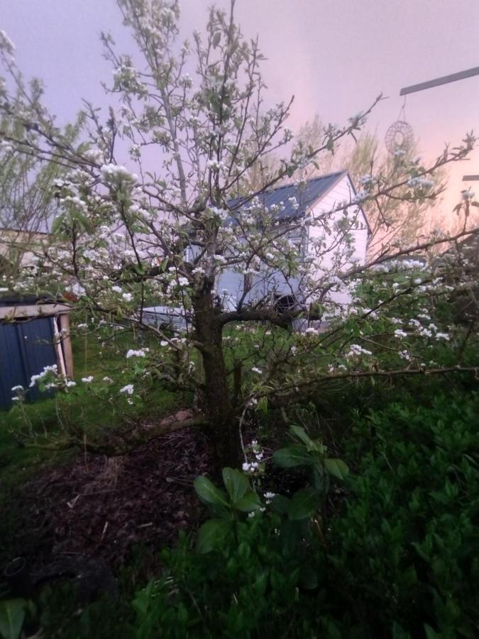 Tuinhuisje In Het Groen Almere Exteriér fotografie